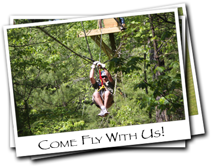 Canopy Zip Line Tours