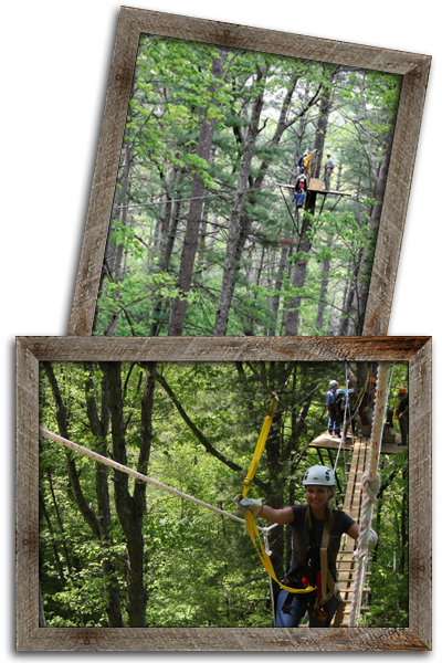 Zipline Swing Bridge