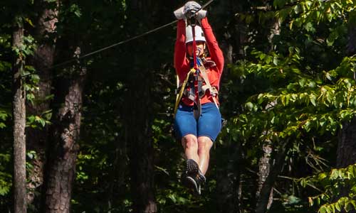 1 Hour Zipline Tour