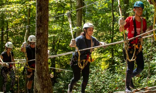 2 Hour Zipline Tour