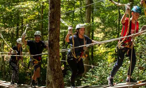 One-Hour Zipline Tour